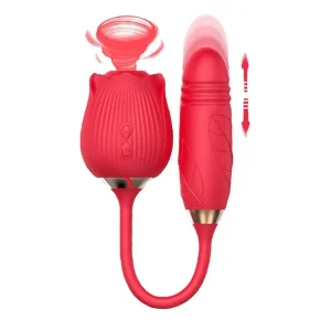 Vibromasseur Rose Toys Schub Kugel