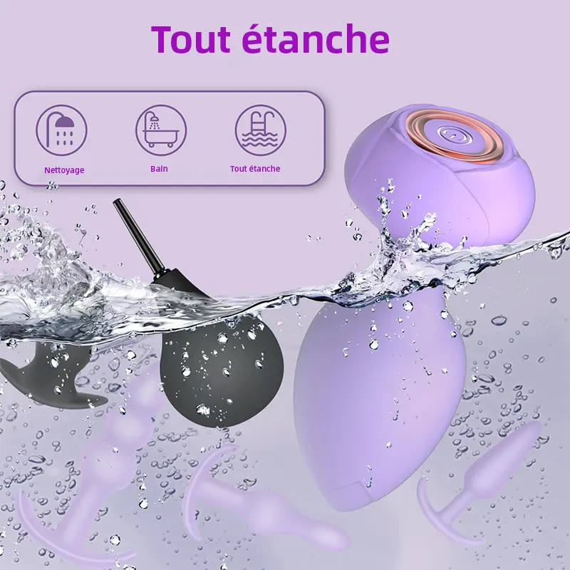 Set de 6 Plugs Anaux Vibrants avec Télécommande