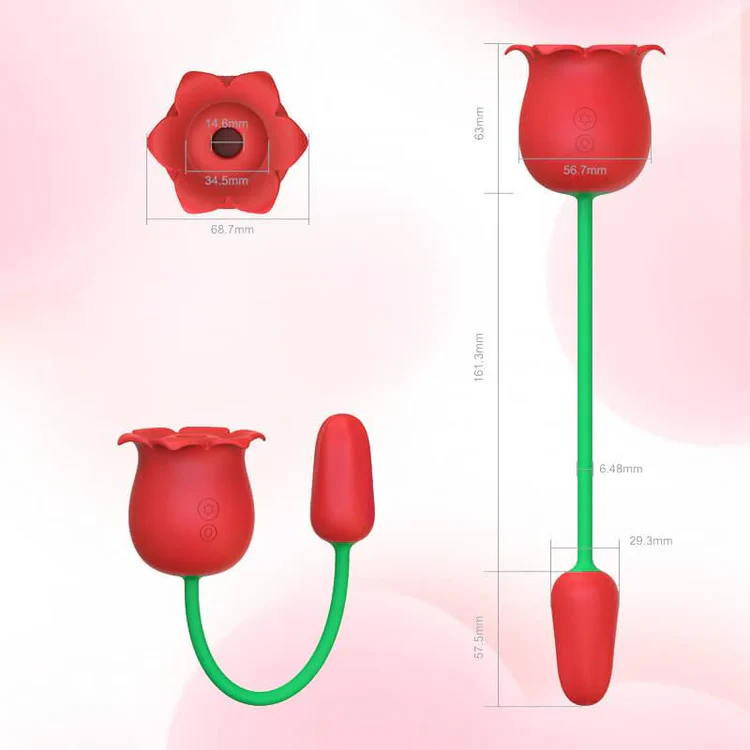 Rose Toy Suceur et Bullet – Plaisir Intime et Ciblé