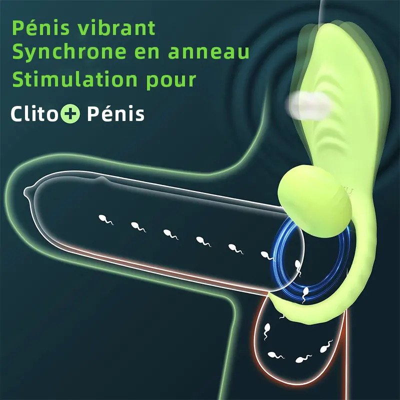 Anneau pénien télécommandé, vibrateur couple longue distance