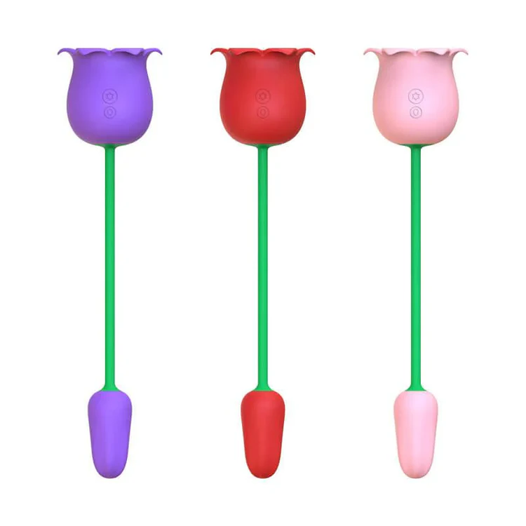 Rose Toy Suceur et Bullet – Plaisir Intime et Ciblé